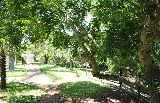 Eagle's Nest Chalets - Foto 18