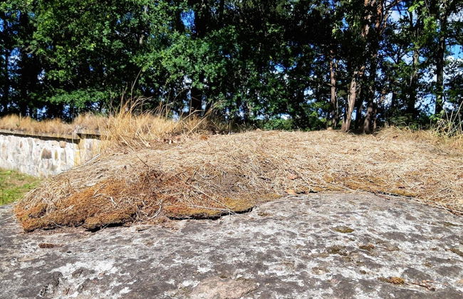 5 Person Holiday Home in Osby - Foto 8