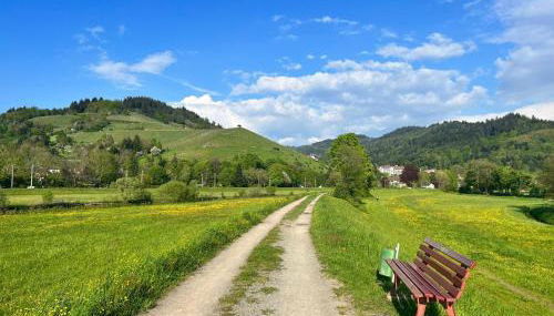 Black Forest Apartments - Foto 3