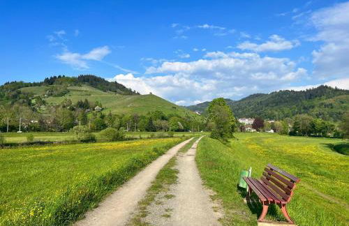 Black Forest Apartments - Foto 3