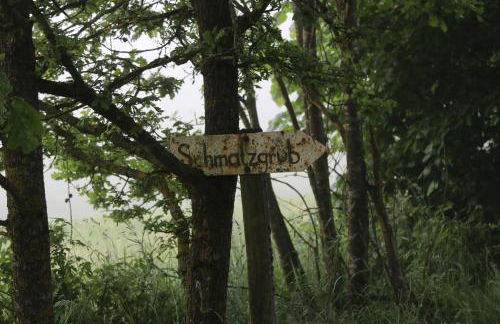 Ferienhof Schmalzgrub - Foto 38