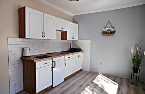 Apartament z tarasem i pokoje KLIMATYZOWANE -Drozdówka Solina - Foto 50