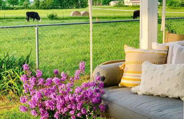 Historic Farmhouse -Modern Amenities -1800s Charm - Foto 18