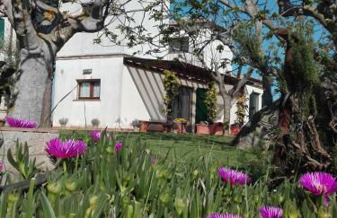 Silos Torrenova - Foto 6