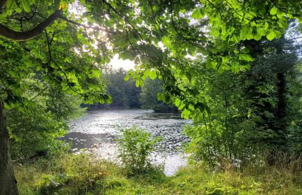 Falkenhof Meisdorf - Foto 16