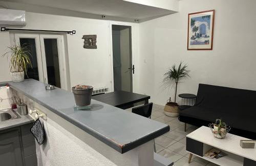 T2 avec TERRASSE, CLIM , box fibre - Foto 40