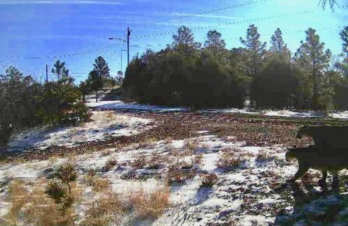 Old Raton Pass Base Camp Cabin with Loft Northern New Mexico Mountain Ranch on Colorado Border cabin - Foto 26