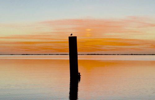 Ostsee Reetkate - Foto 77