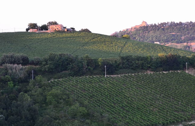 Agricola Lanciani - Foto 14