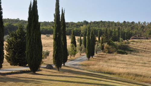 Agriturismo Escaia - Foto 5