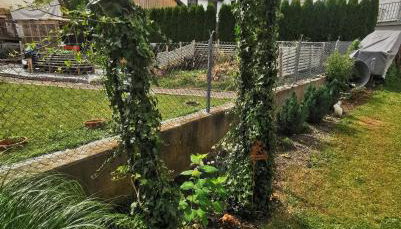 Ferienhaus Anni - Photo 2