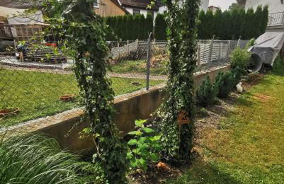 Ferienhaus Anni - Photo 2