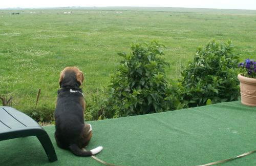 Apartment Radmokerhuus - Foto 1