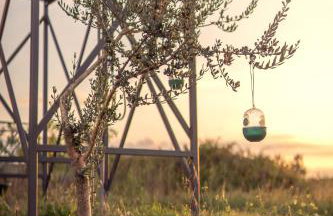 Robinson house Orkula in the heart of olive's yard - Foto 15