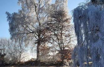 Apartment AnNo- Wohlfühlidylle by Interhome - Foto 23