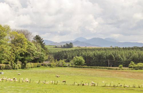 Caban Cwtch The Cosy Cabin - Foto 33