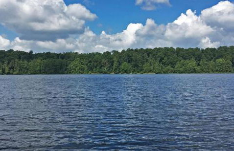 Haus am Pinnower See - Foto 19