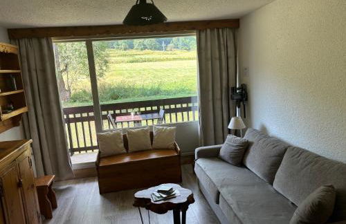 Studio Le P'tit Aigle pied des pistes et télécabine départ ski au pied - Photo 11