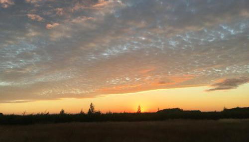 Private Shepherds hut with Castle view - Foto 5