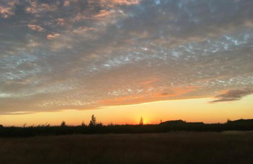 Private Shepherds hut with Castle view - Foto 5
