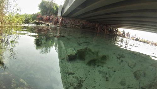 Na Chicca e na Nicchia - Foto 5