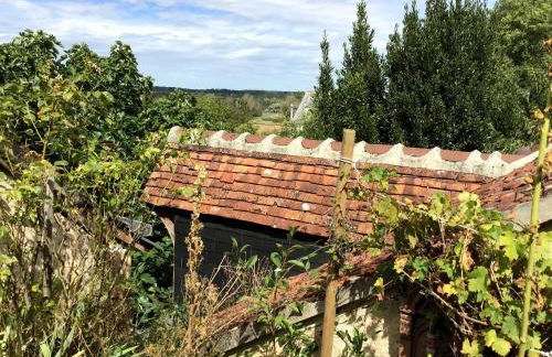 La Maison Bleue de Husseau Ancienne ferme semi-troglodytique 18e siècle - Foto 16