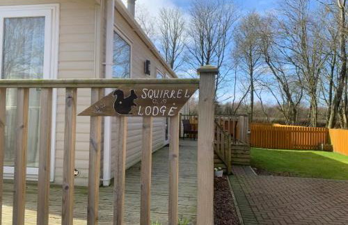 Squirrel Lodge (Unit 7) - Foto 19