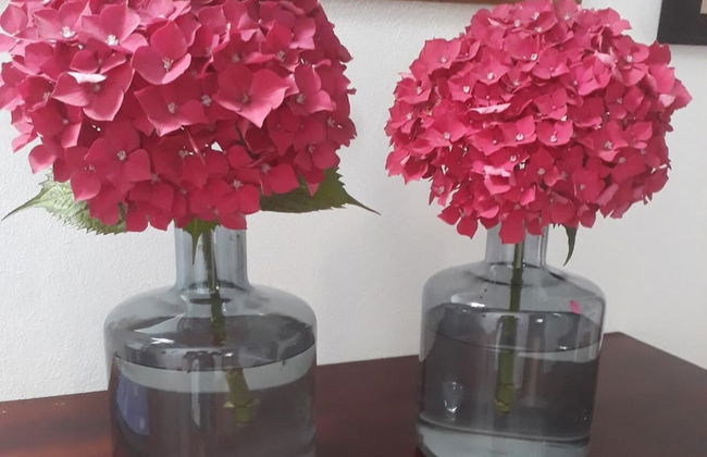 A Cortiña de Canalarrana - Foto 18