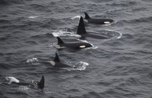 The Old School House - Cosy 3 bedroom Cottage - Photo 16