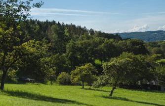 Grünewaldhof in Rimbach im Odenwald - Foto 5