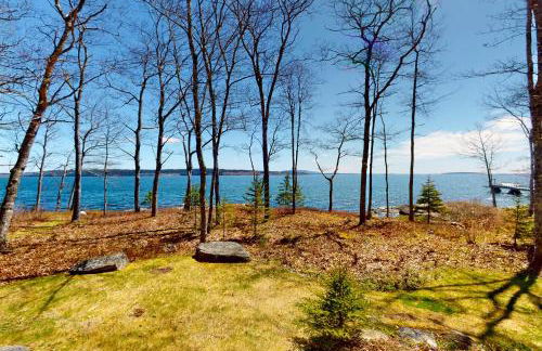 Birds Nest - Foto 27