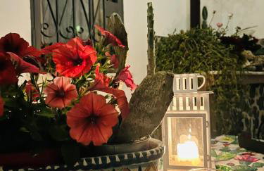Nicuzzaduci Home - Photo 4