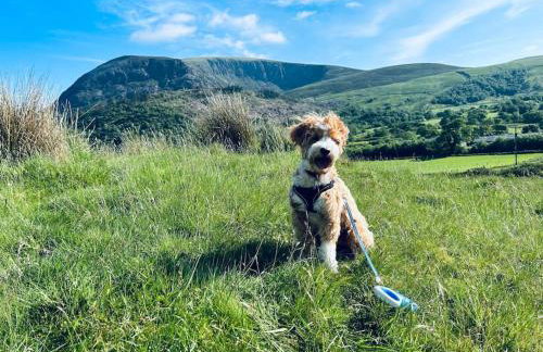 Eilio Cottage- Closely located to Snowdon - Foto 16