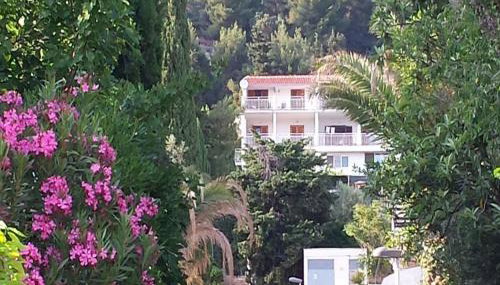 Apartment ANGIE 2 - Marjan Hill - Photo 3