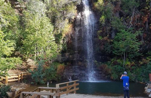 Quinta Dos Kiwis - Foto 18