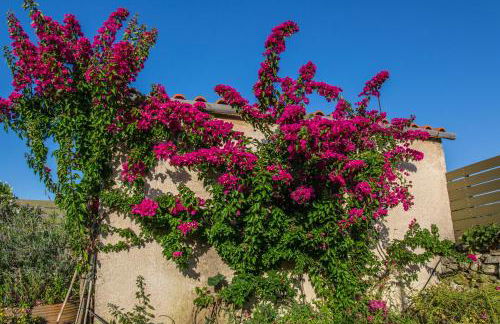 Villa Rouga by Andrian Villas - Foto 17