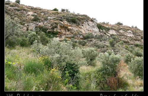 Villa Daskalogianni - Foto 66