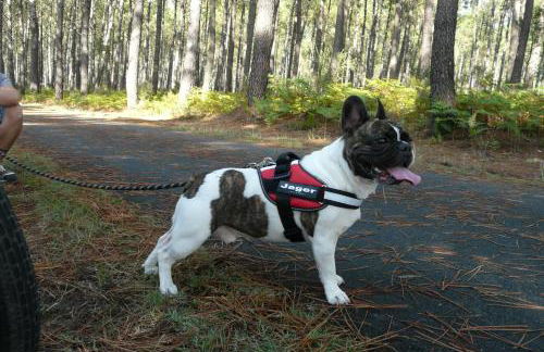 Blue Ocean - Foto 28