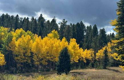 Misty Mountain Colorado - Foto 19