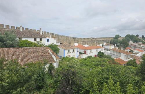 Sunflower Castle View in Óbidos - Foto 32