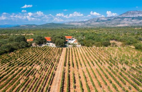 Pet Friendly Home In Oklaj With Sauna - Foto 18