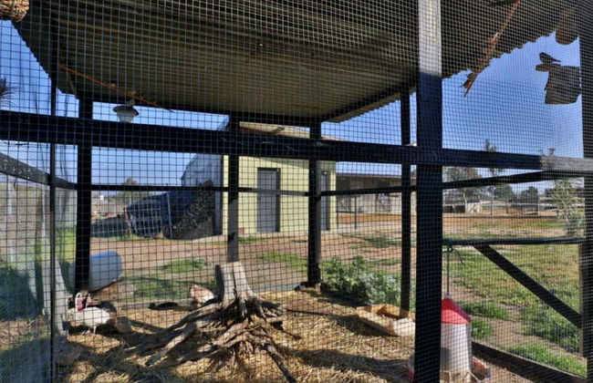 Casa Rural Ecuestre - Foto 66