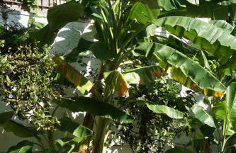 Varagoulis Giannis & Lenas Apartments - Foto 53