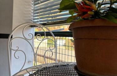 B&B Stella - Foto 24