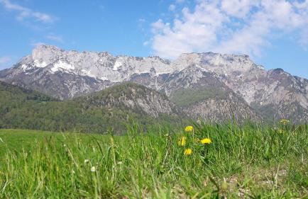 Ferienwohnungen Gästehaus Lärcheck - Foto 57