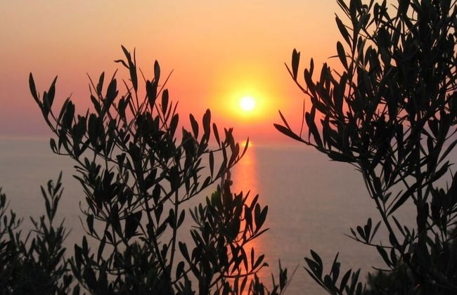 Hovolo Hotel Apartments - Foto 63