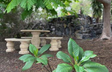 Casa Rural Morera - Foto 39