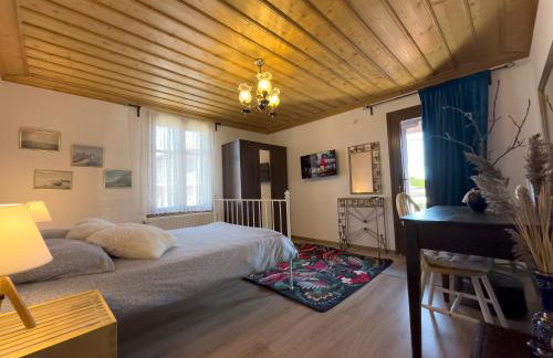 Renovated Old Manor House With Yard - Photo 29