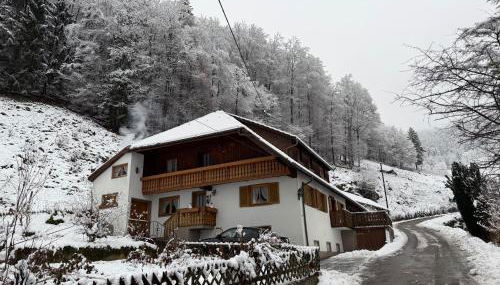Bauernhaus im Münstertal - Foto 2