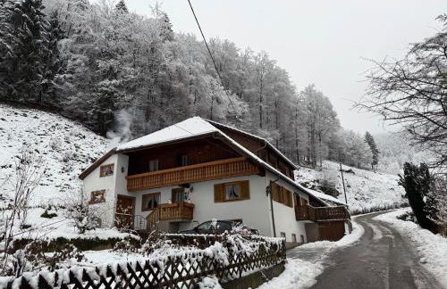 Bauernhaus im Münstertal - Foto 2